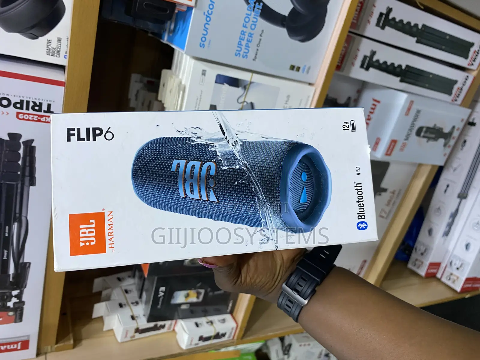 JBL Flip 6