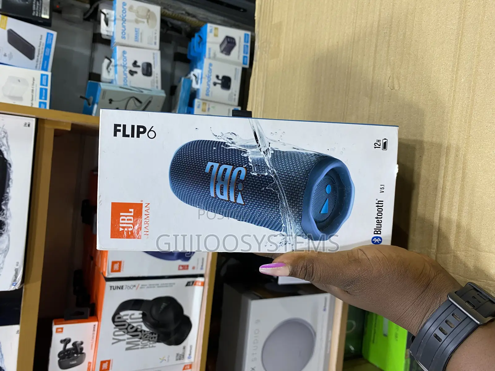 JBL Flip 6
