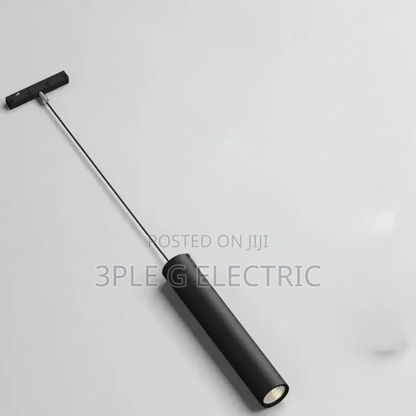 Magnetic Pendant Light