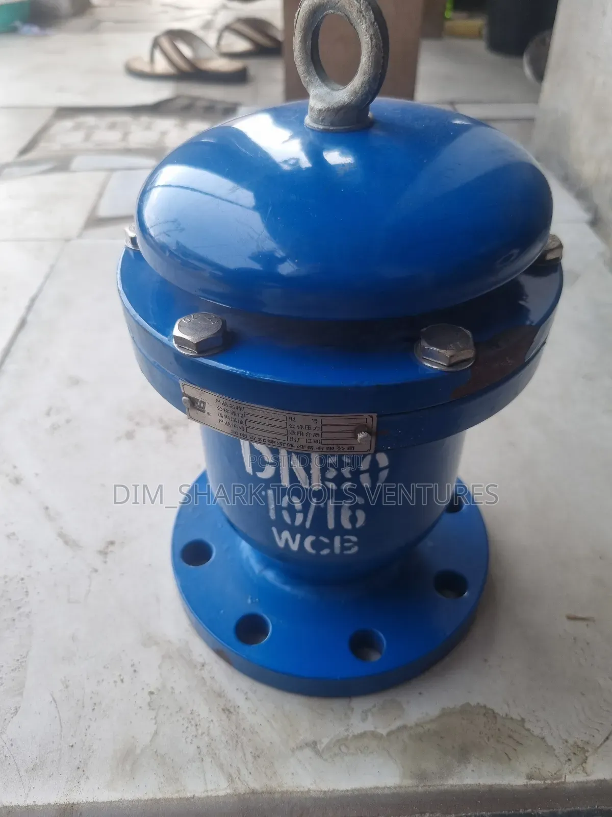 Ductile Carbon Steel Exhaust/Air Release Valve 3"(Dn80)