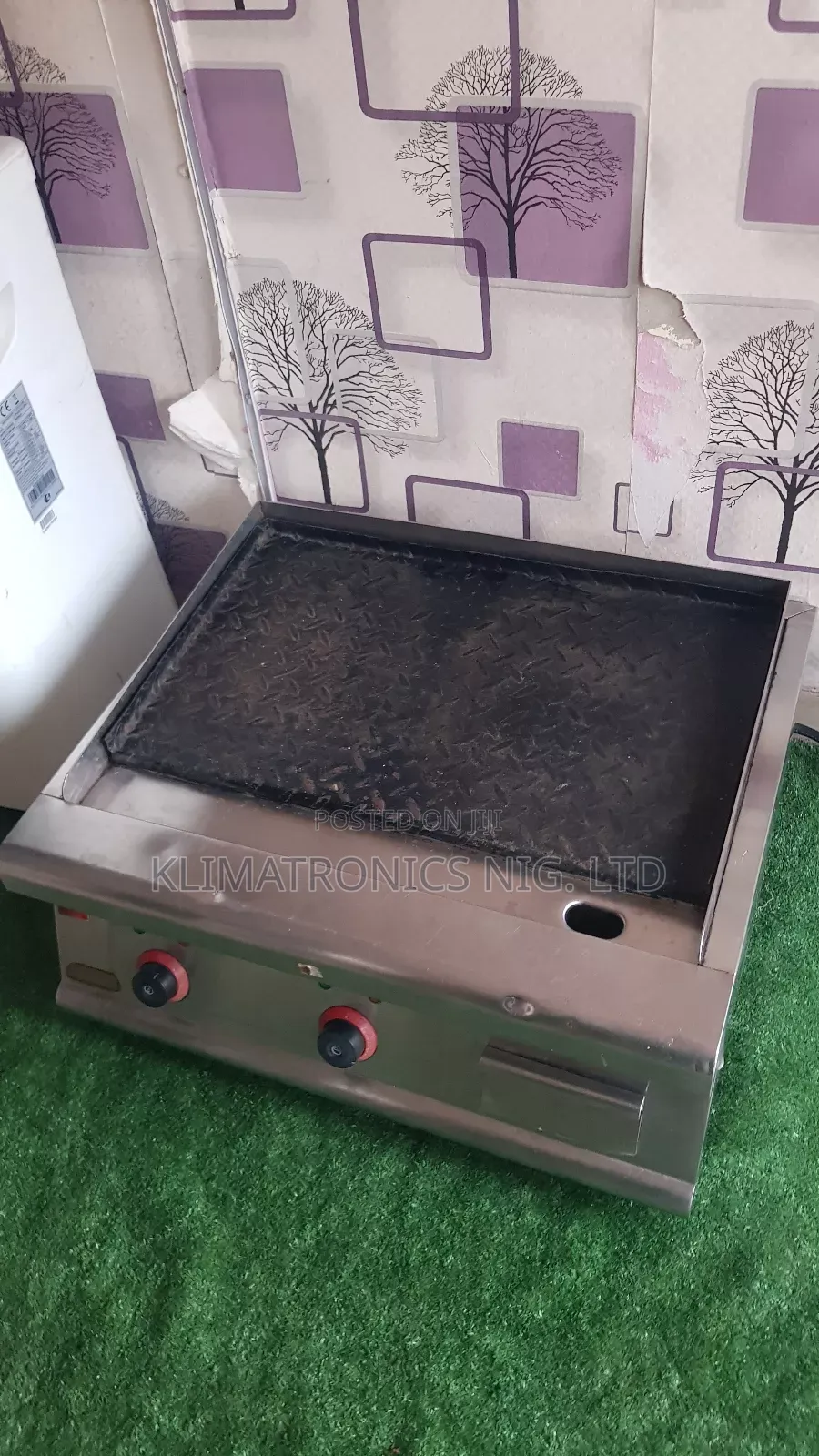Electric Grill