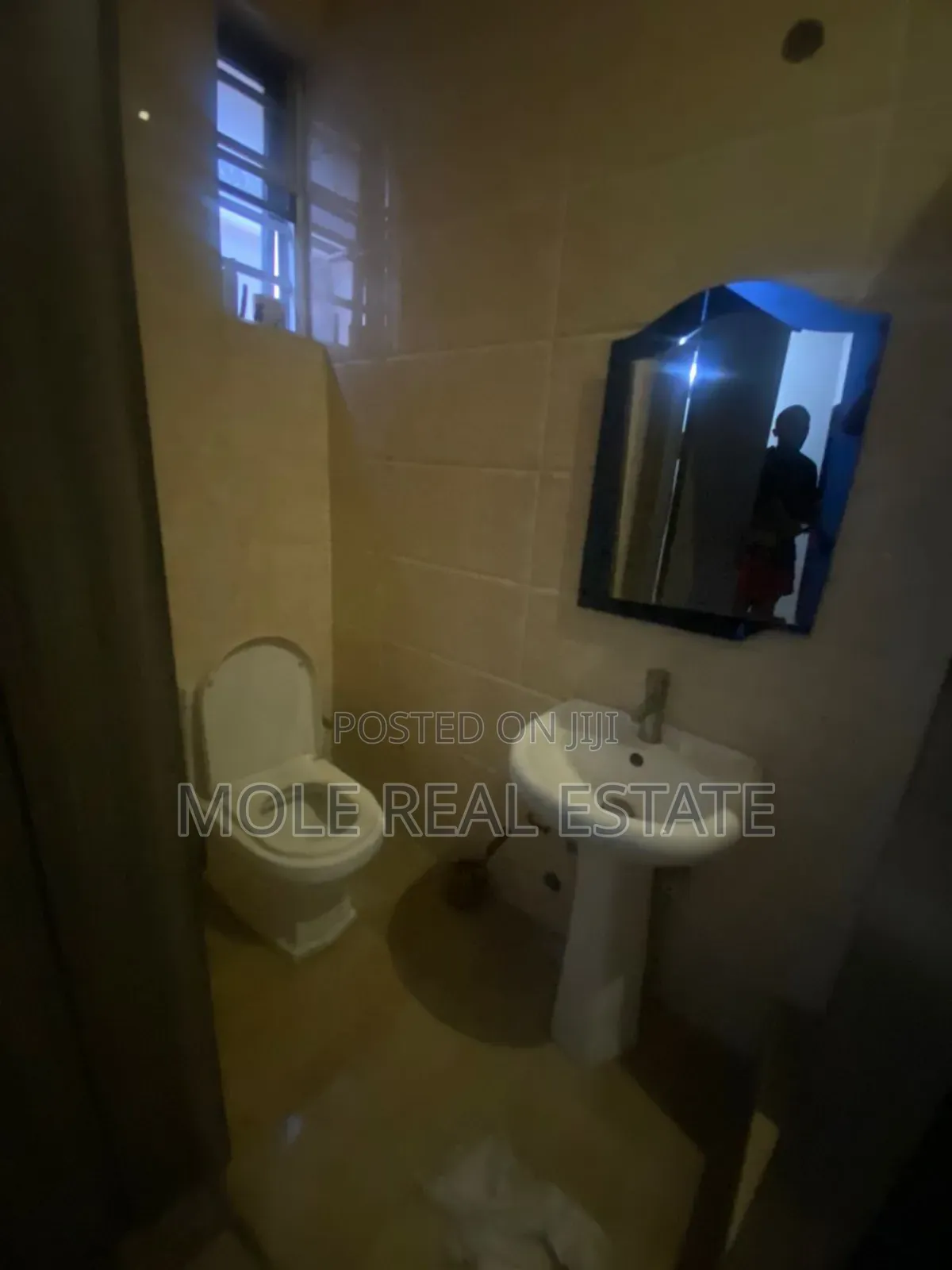 Furnished 5bdrm Duplex in Adeniyi Jones for sale