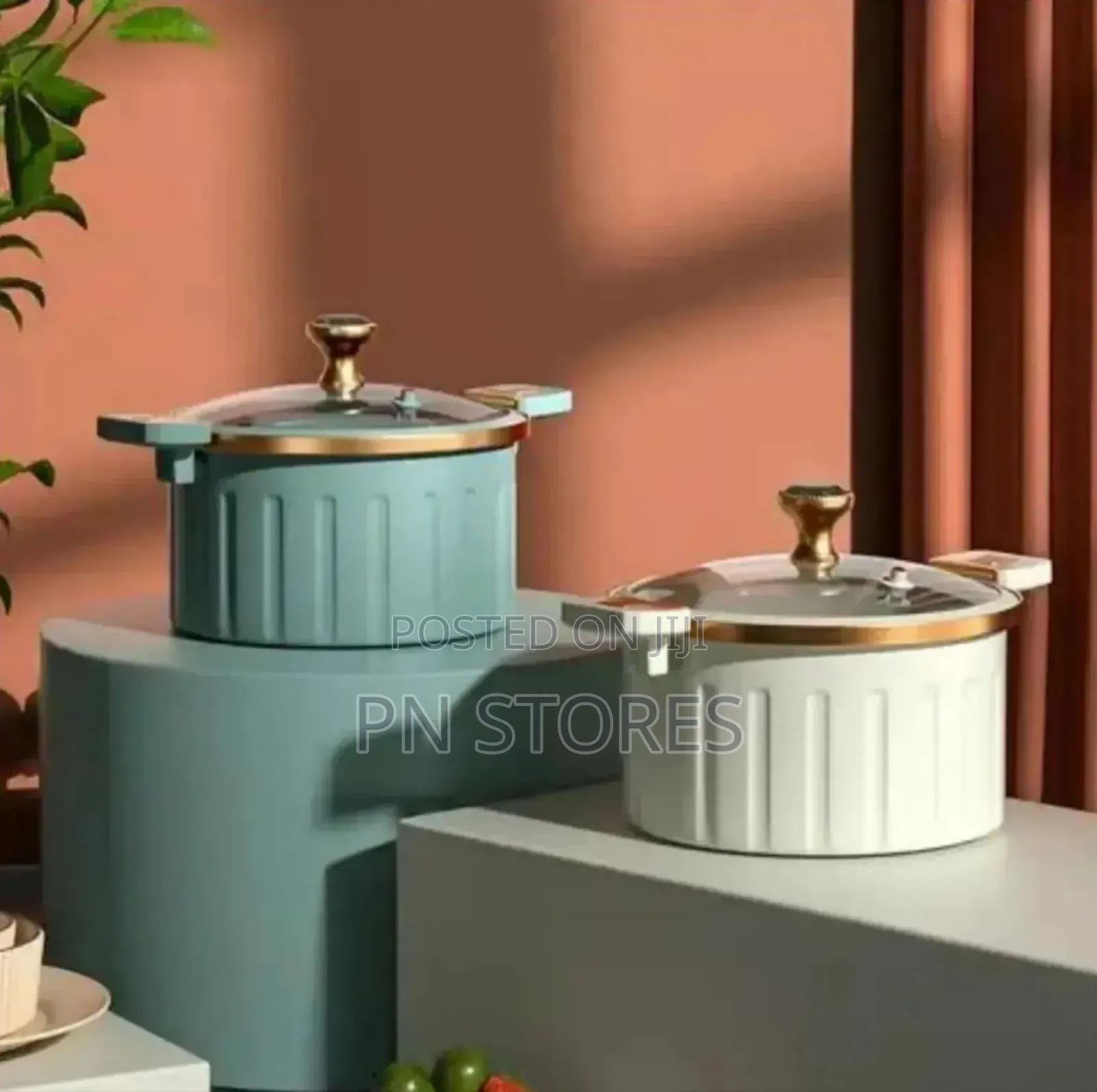Roman 10 Litres Aesthetic Roman Non-Stick Pressure Pot