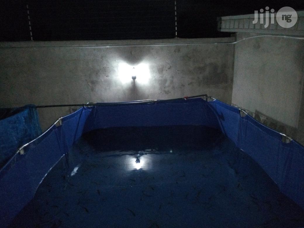 Mobile Tarpaulin Fish Pond