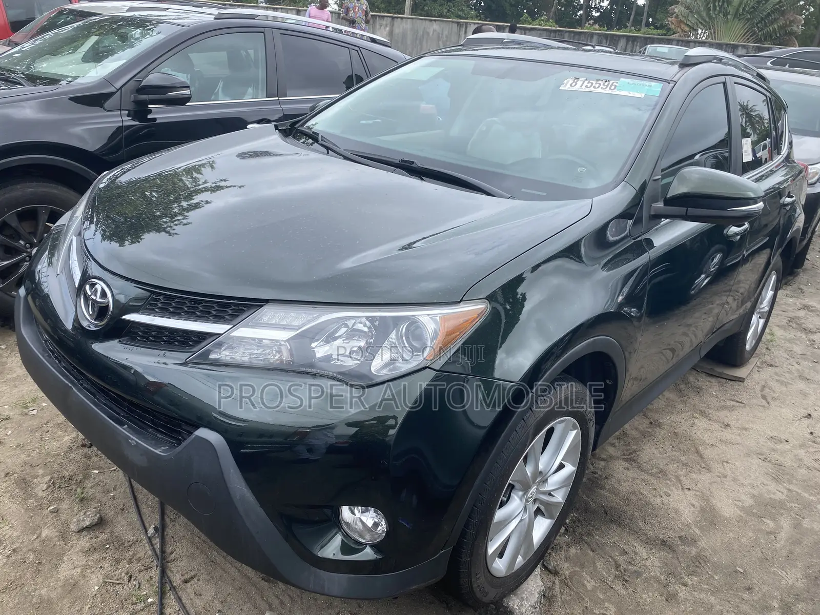 Toyota RAV4 XLE AWD (2.5L 4cyl 6A) 2013 Green