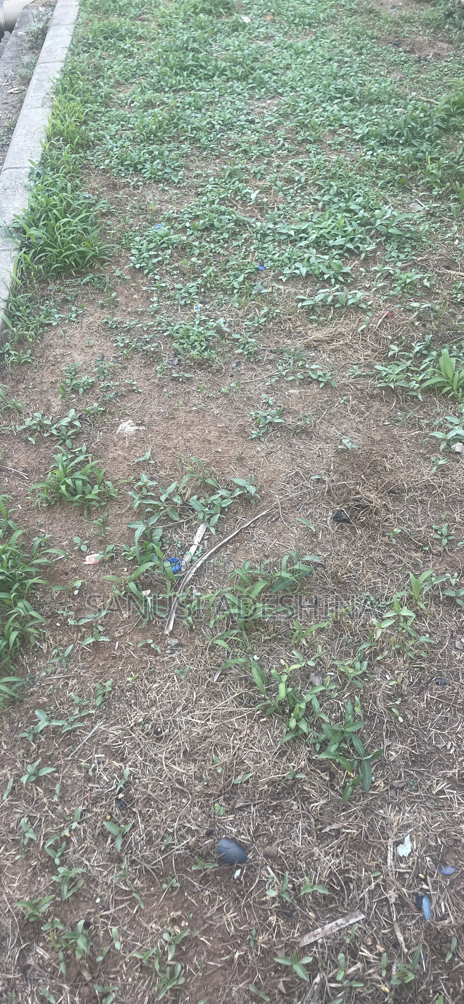 1100sqm of Residential Plot at Jahi FCT Abj Nigeria