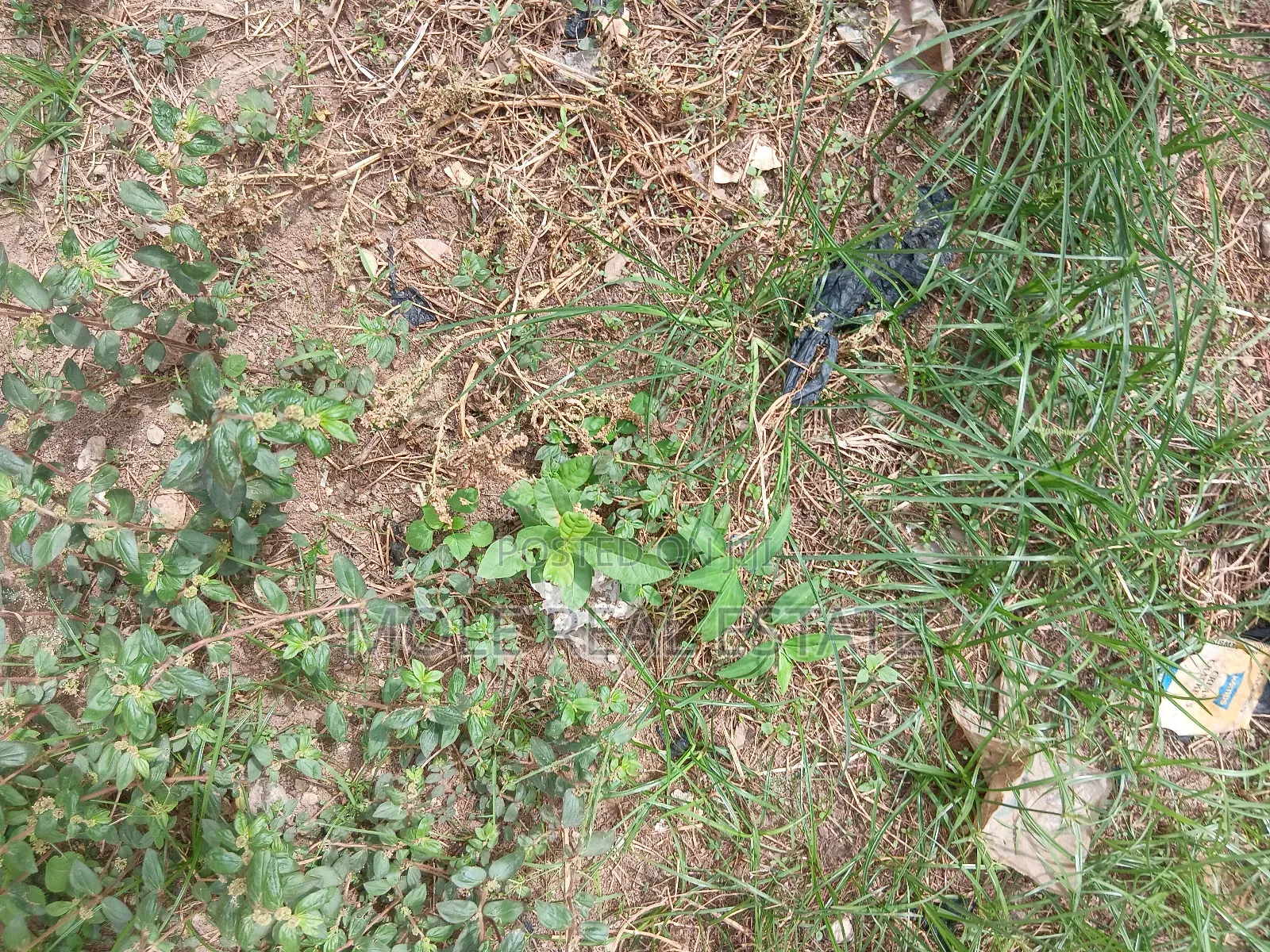100 Acres of Industal Land Lukosi Lukosi Aralu Ogun State