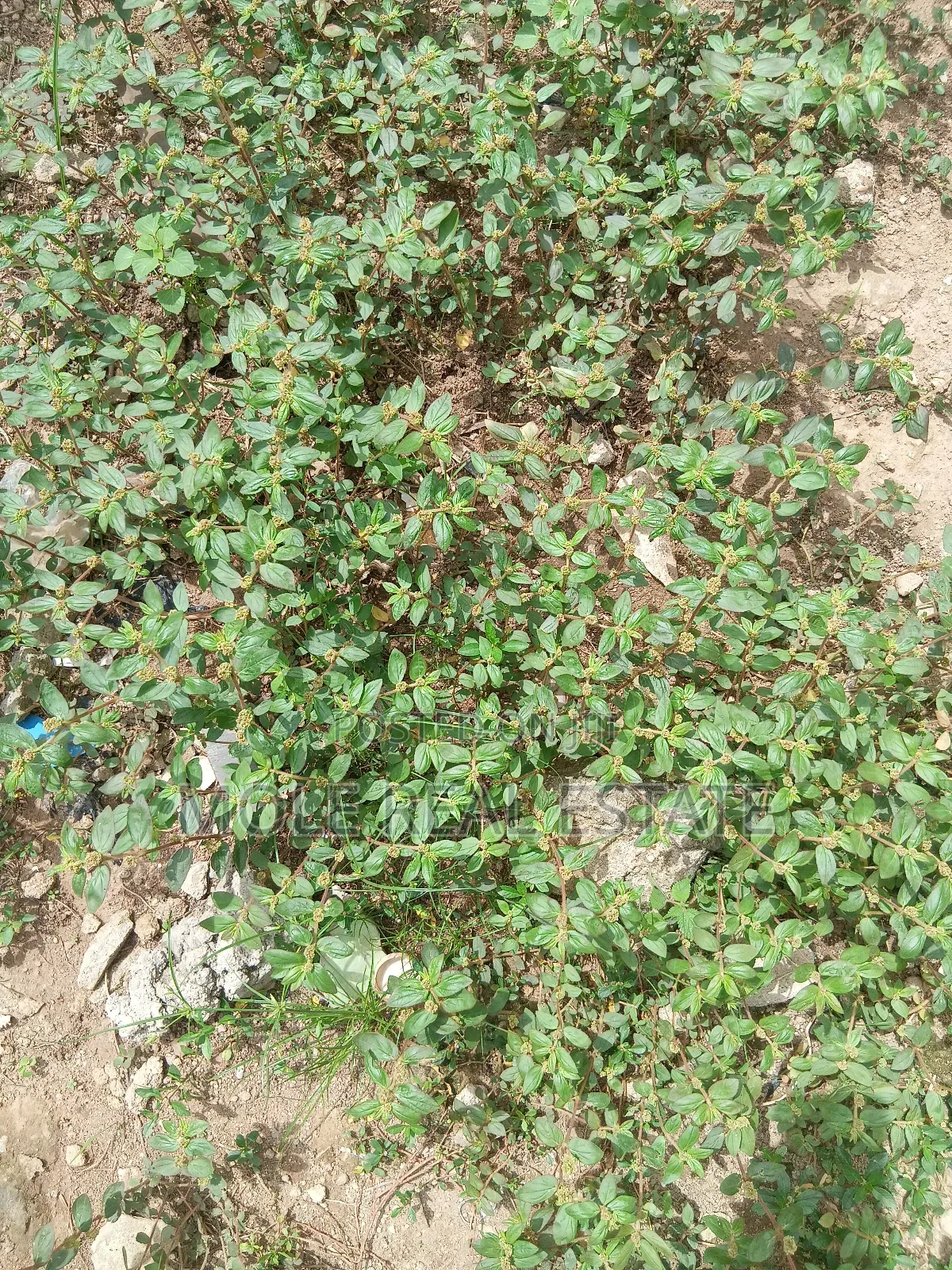 13000sqm Barre Land Bourdillion Ikoyi