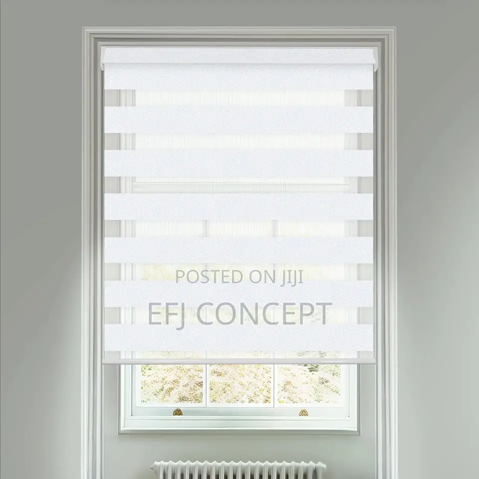 Petra White Vision Day and Night Window Blind