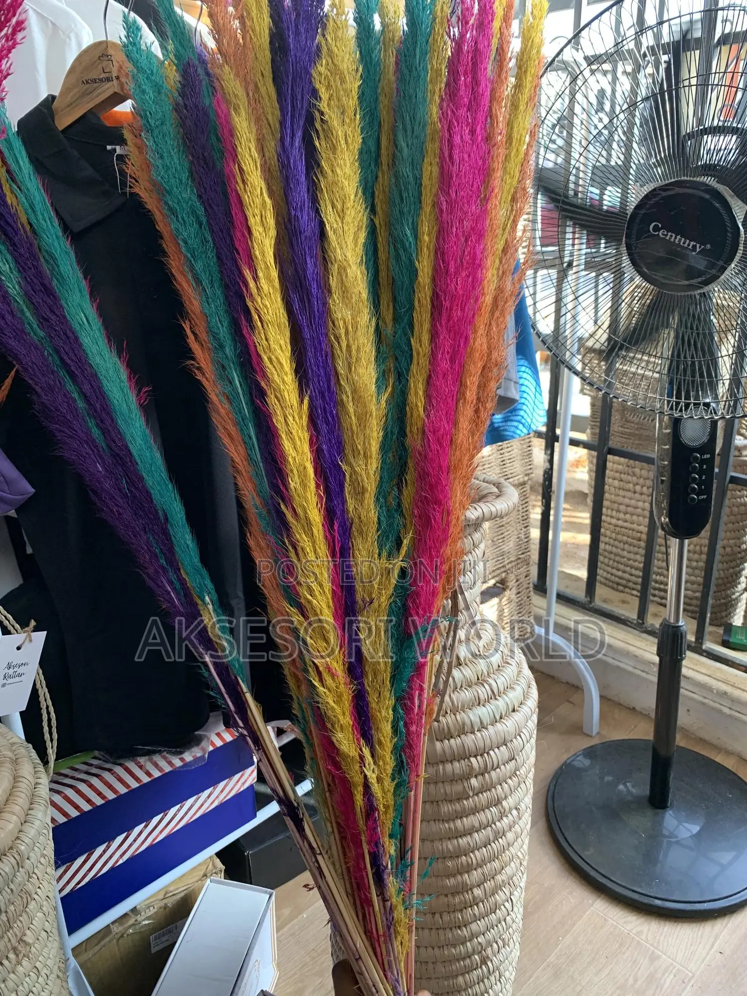 Colored Pampas Flower for Vase