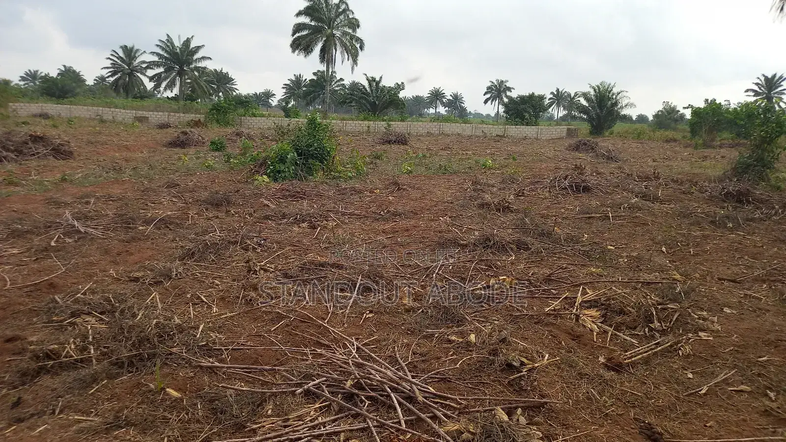 Buy 3 Acres Get 1 Acre Free