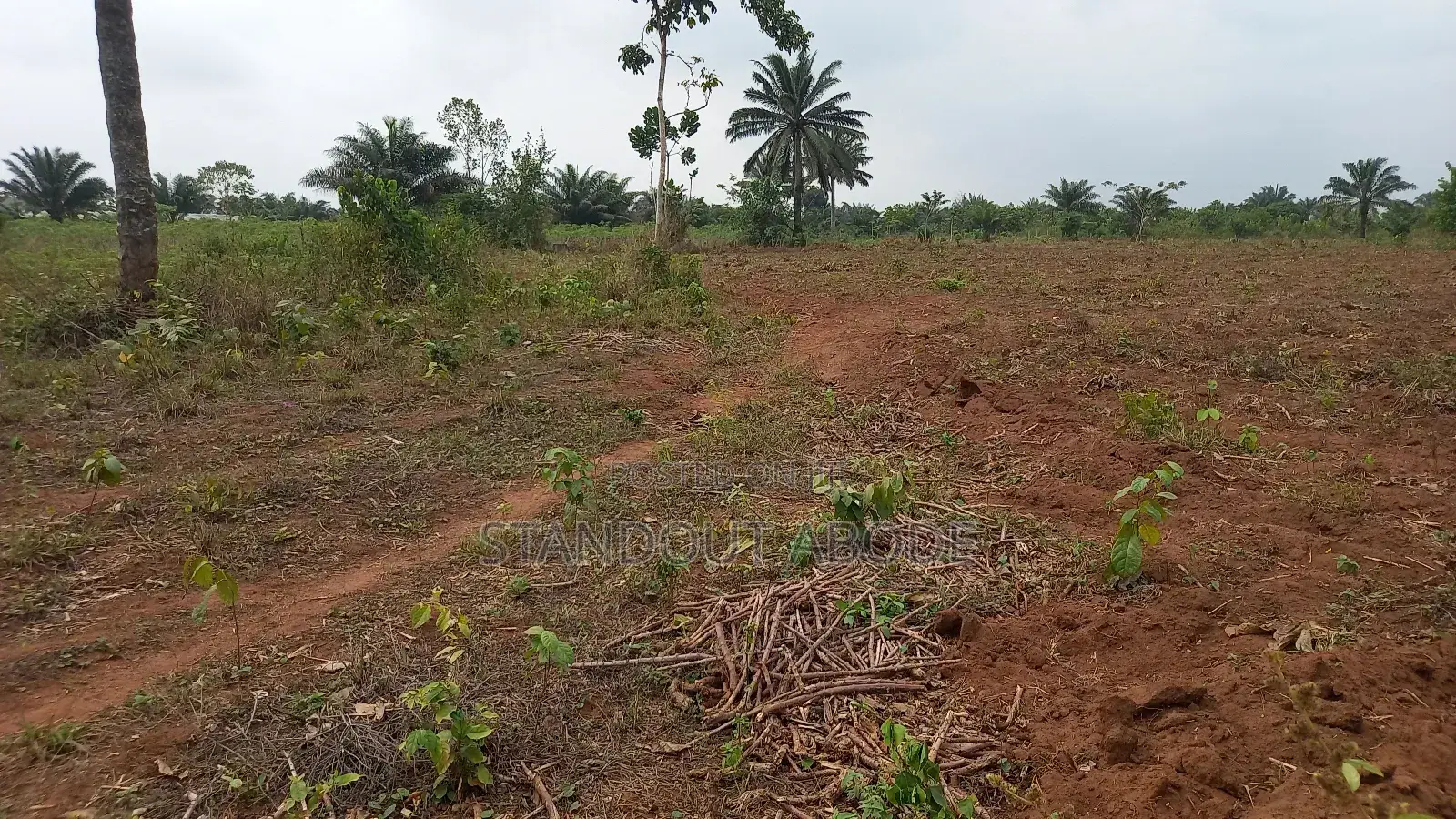 Buy 3 Acres Get 1 Acre Free