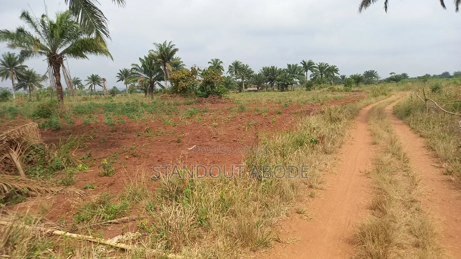 Buy 3 Acres Get 1 Acre Free