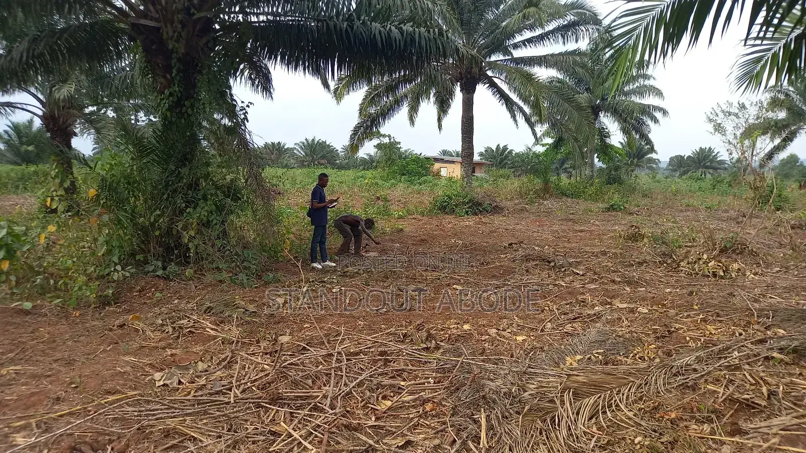 Buy 3 Acres Get 1 Acre Free