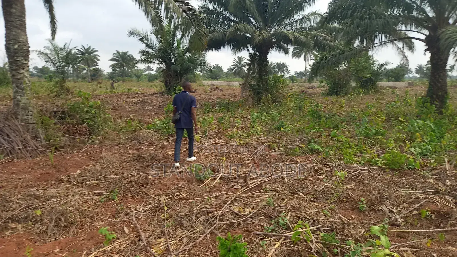 Buy 3 Acres Get 1 Acre Free