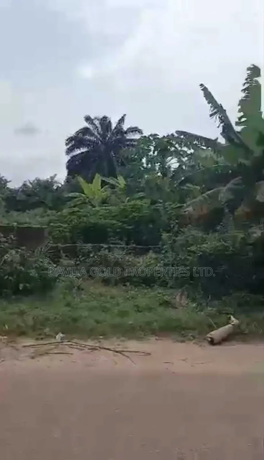 An Exquisite Land for Sale