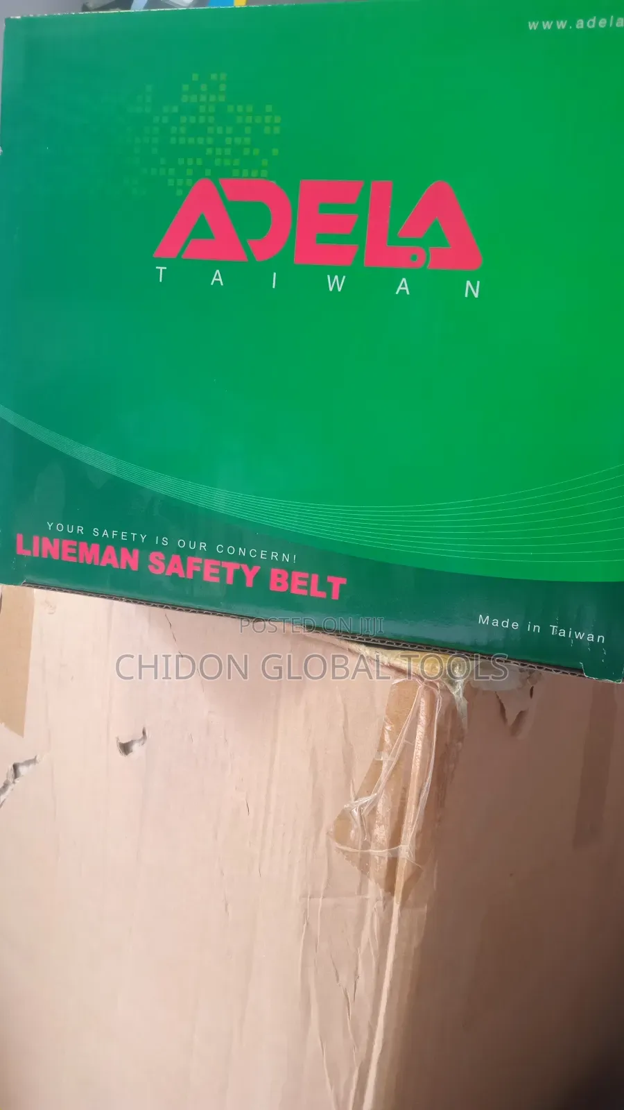 Safety Belt