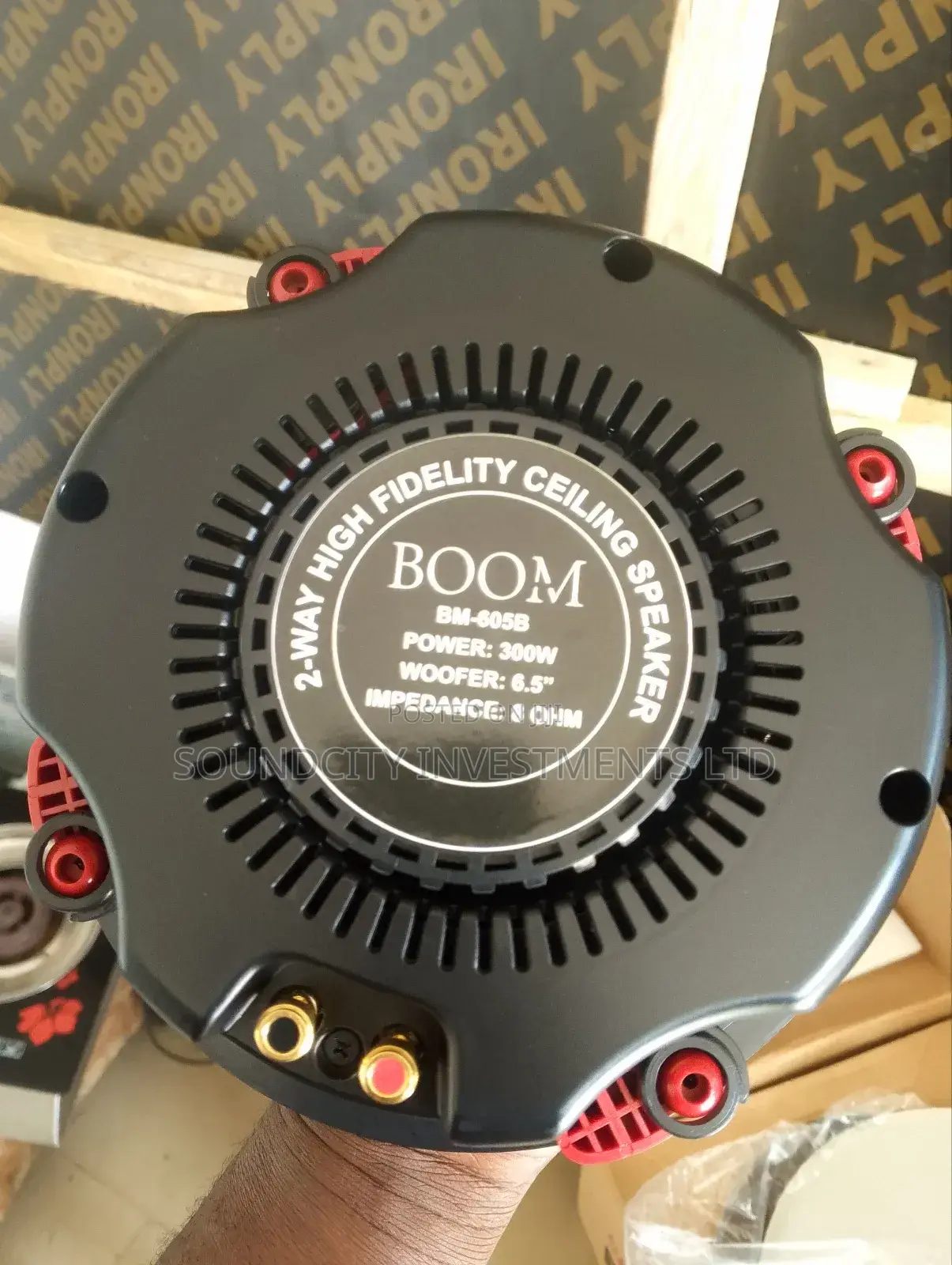 Boom 300w Ceiling Speaker