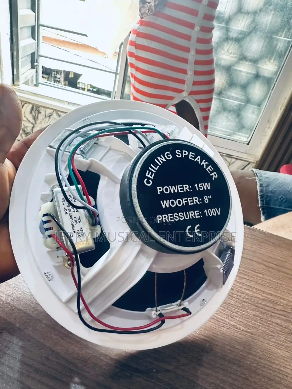 15watts Dart Ceiling Speakers