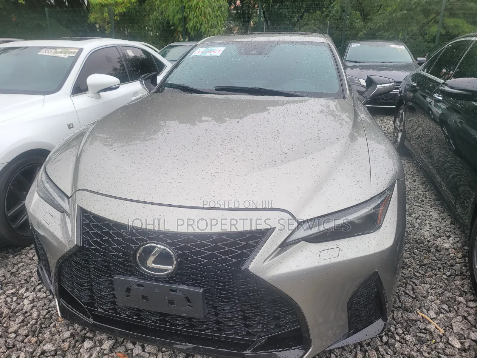 Lexus IS 2024 Gray