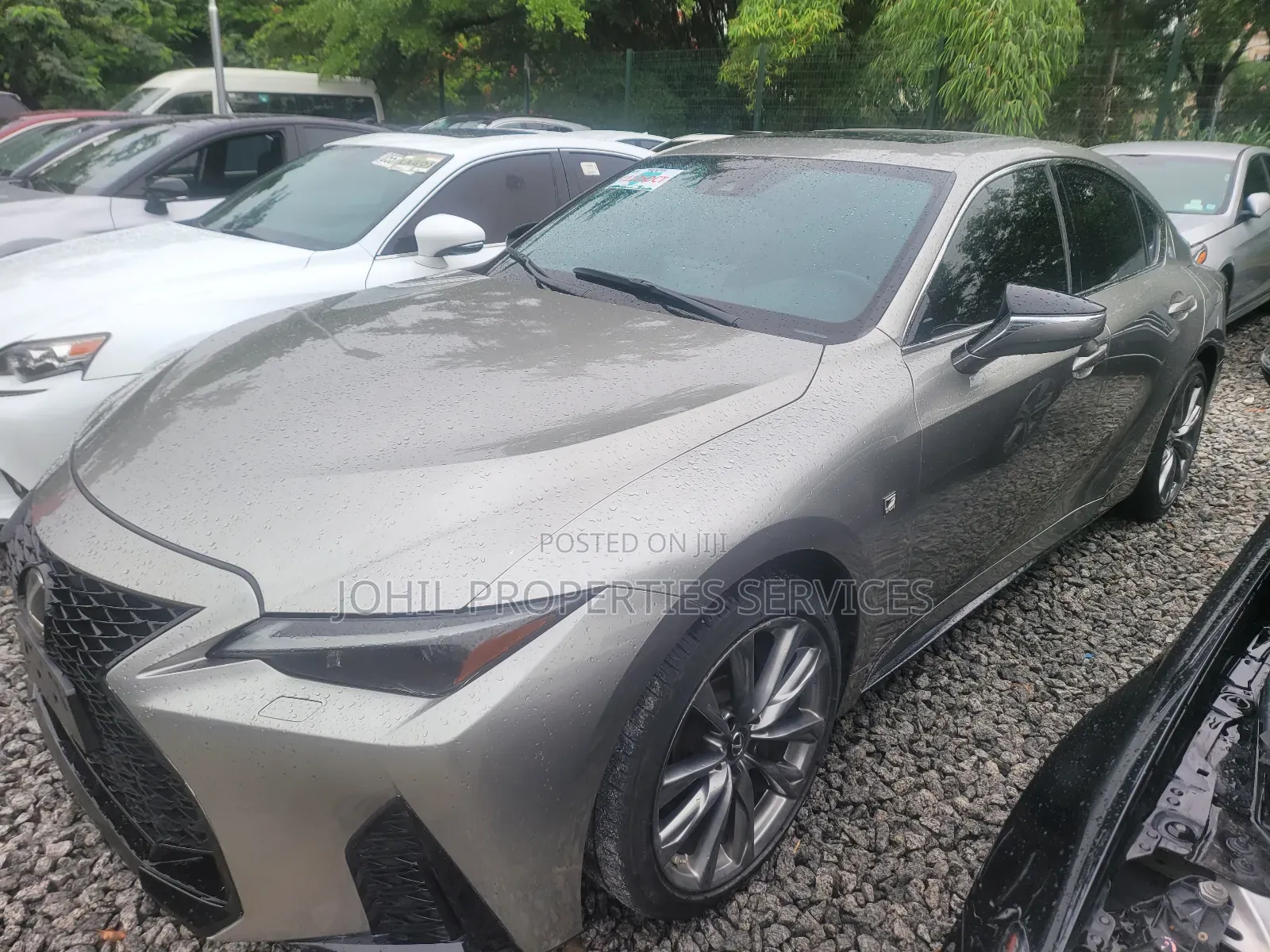 Lexus IS 2024 Gray