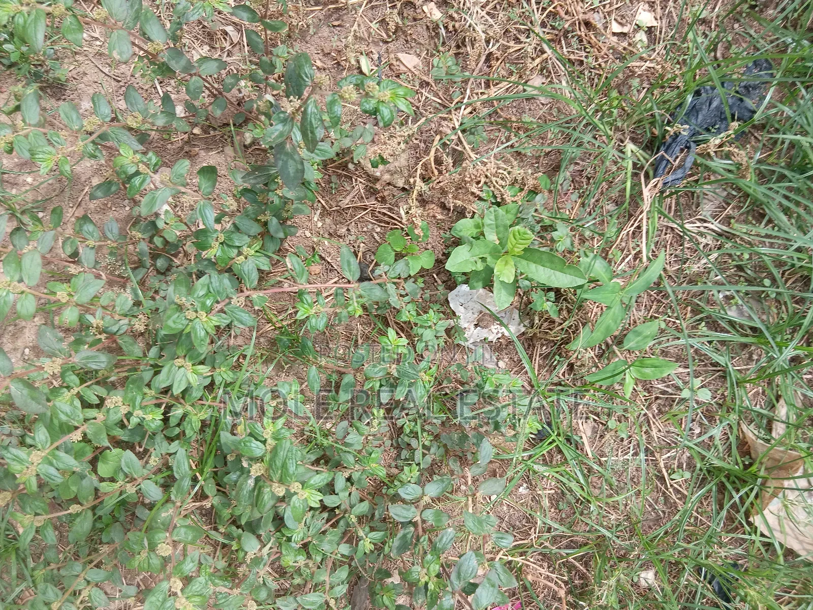 1 600 SQM Plot Ikeja 4 Sale / (Jv) Prime Location