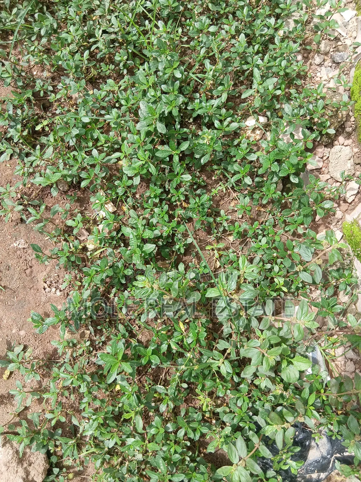 917sqm Plot 4 Sale / (Jv) Ikeja Prime Location