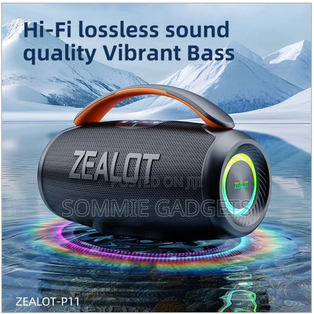 Zealot P11 Speaker