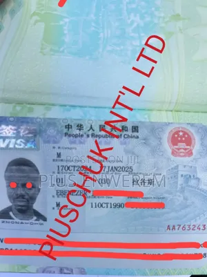 China Business Visa Virgin (100%)