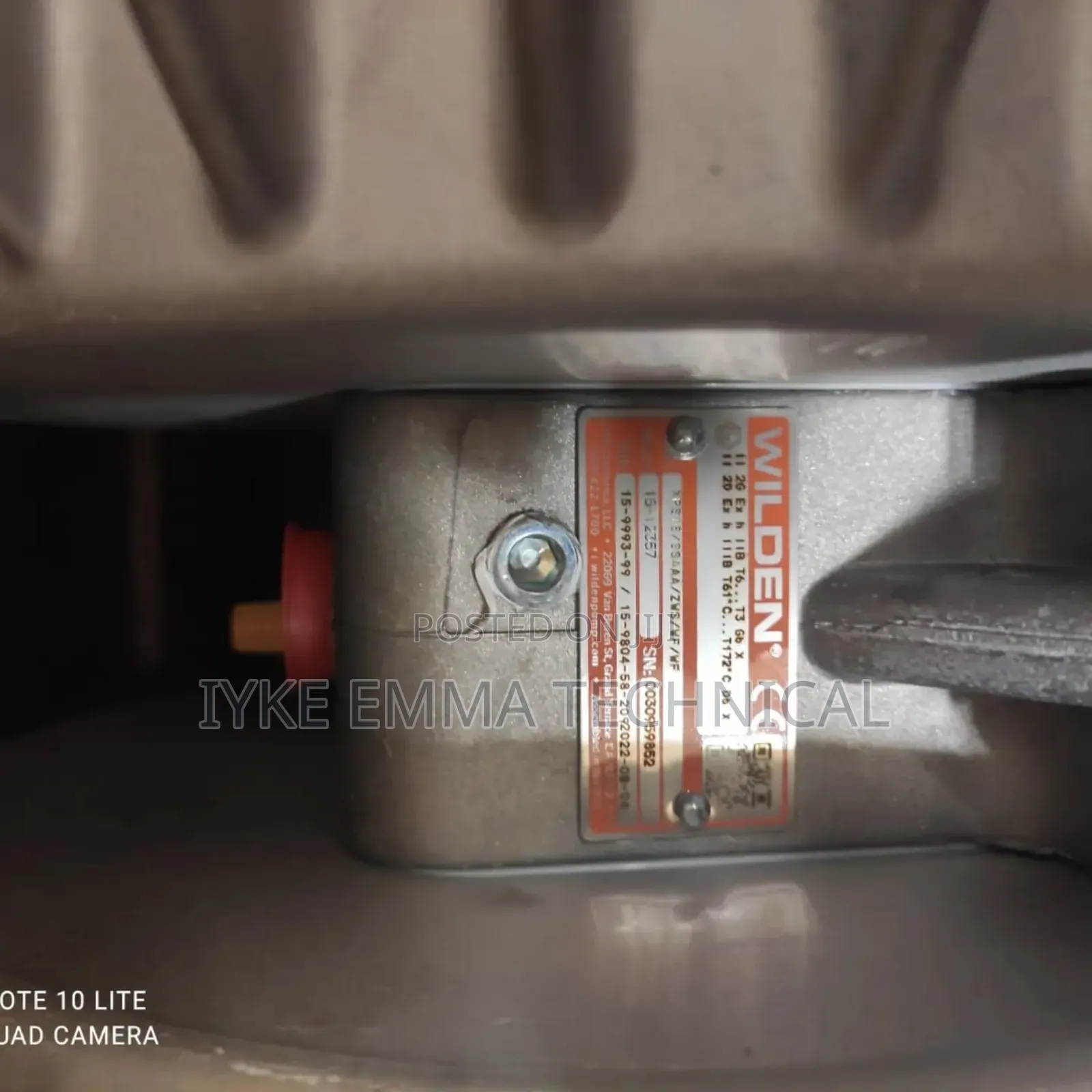 3" Stainless Steel Aodd Wilden Pump