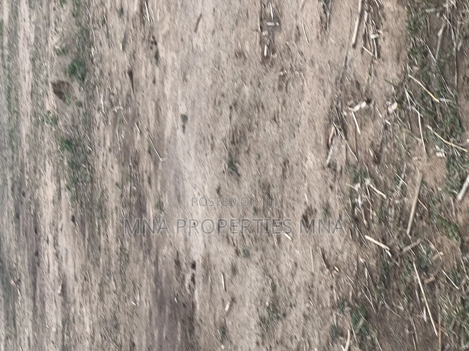 Hill-View Estate, Apo Hiltop