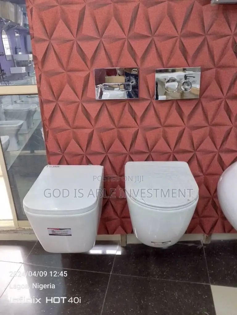 Eco Living Wall Hung Toilet