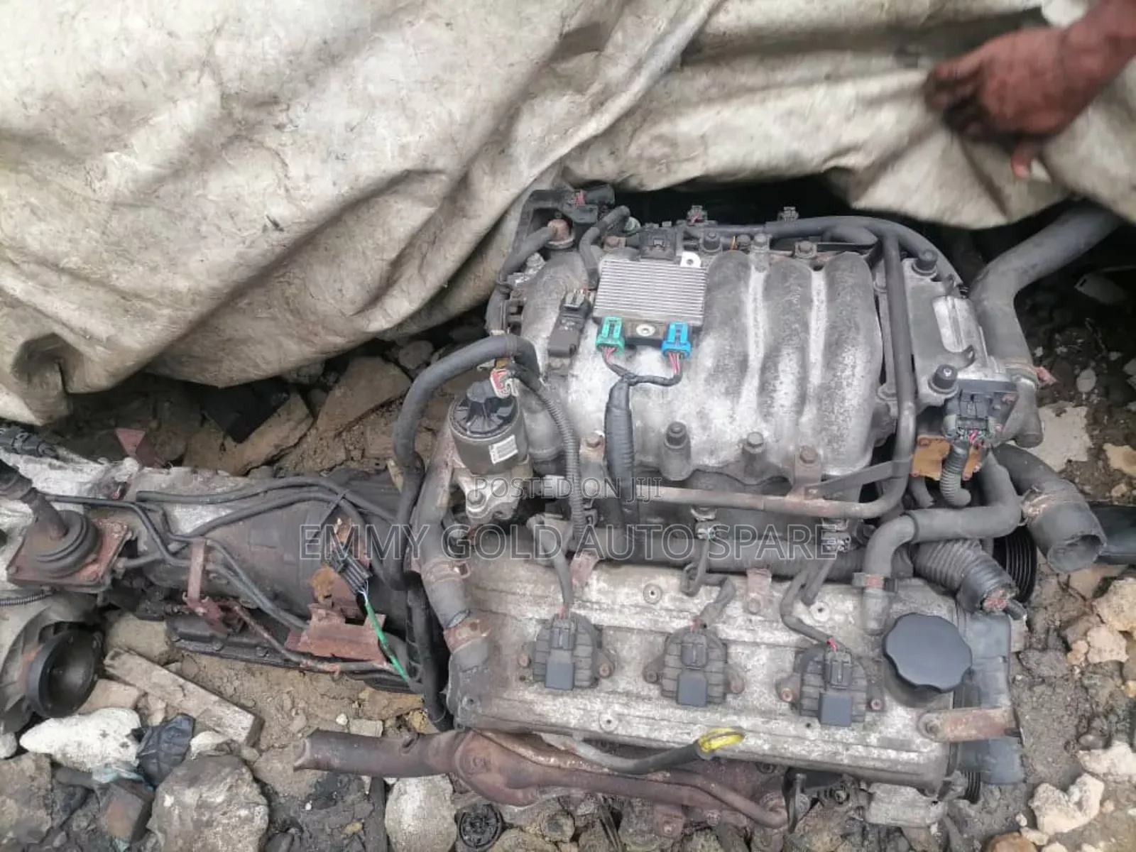 Isuzu Rodeo Engine Available