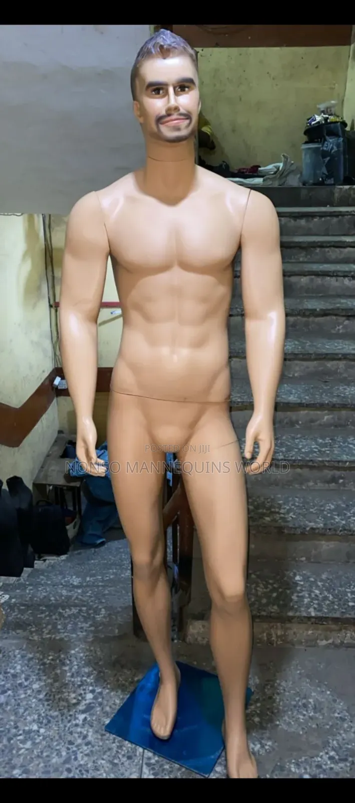 Plastic Male Imported Mannequin