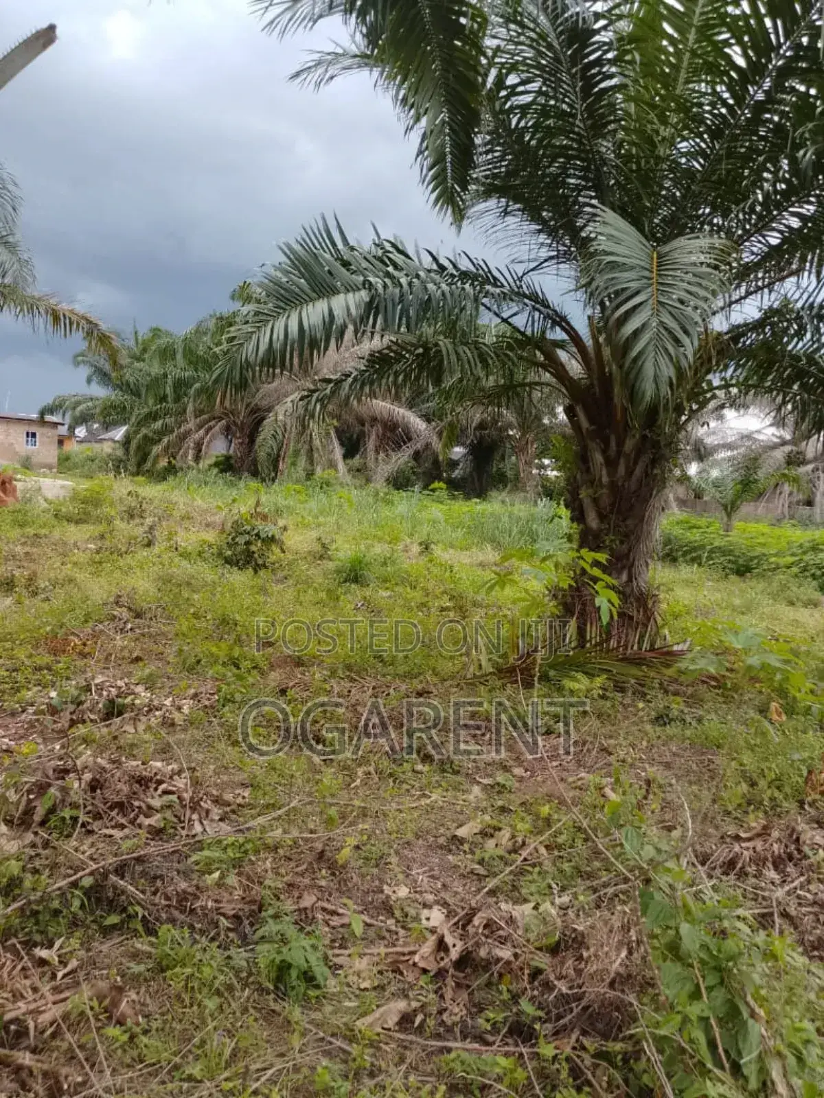 1 by 2 Land for Sale at Benin/Warri Express Way