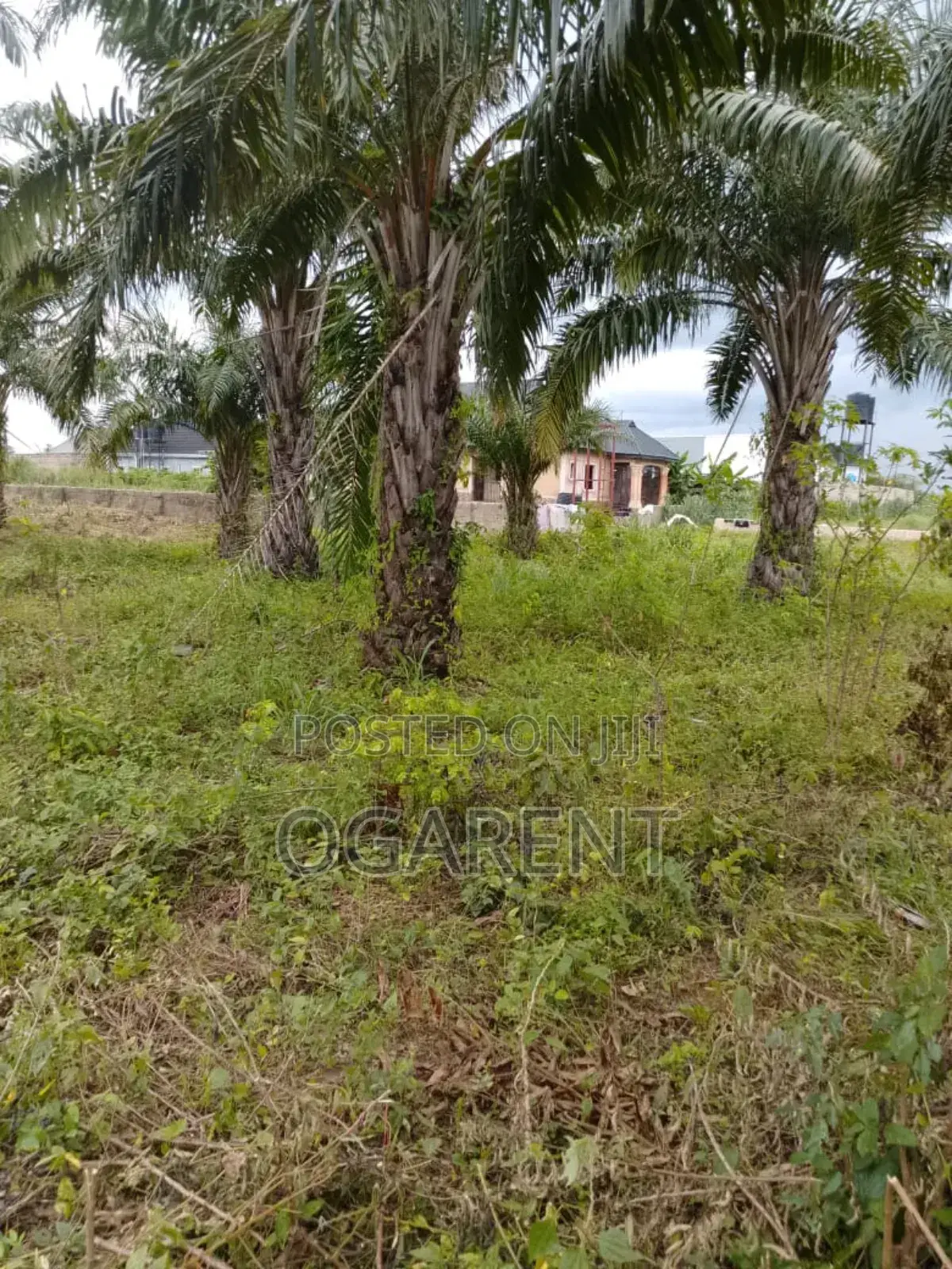 1 by 2 Land for Sale at Benin/Warri Express Way