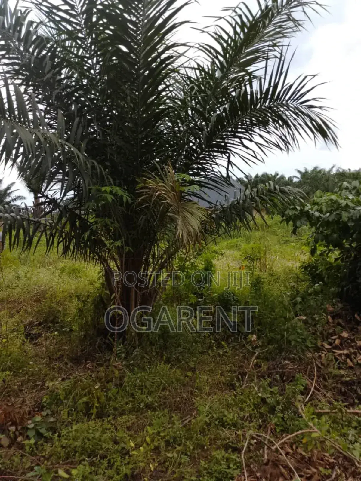 1 by 2 Land for Sale at Benin/Warri Express Way