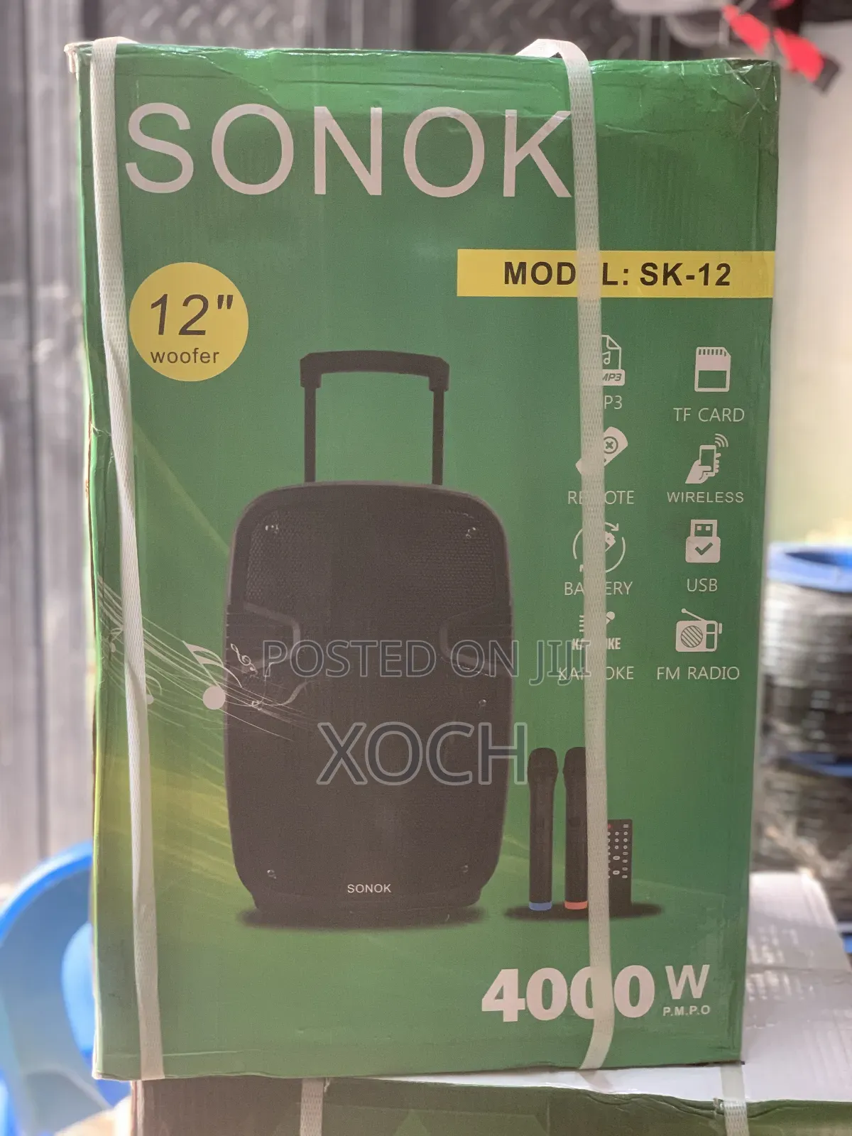 12-Inches Pa System Rechargeable Bluetooth