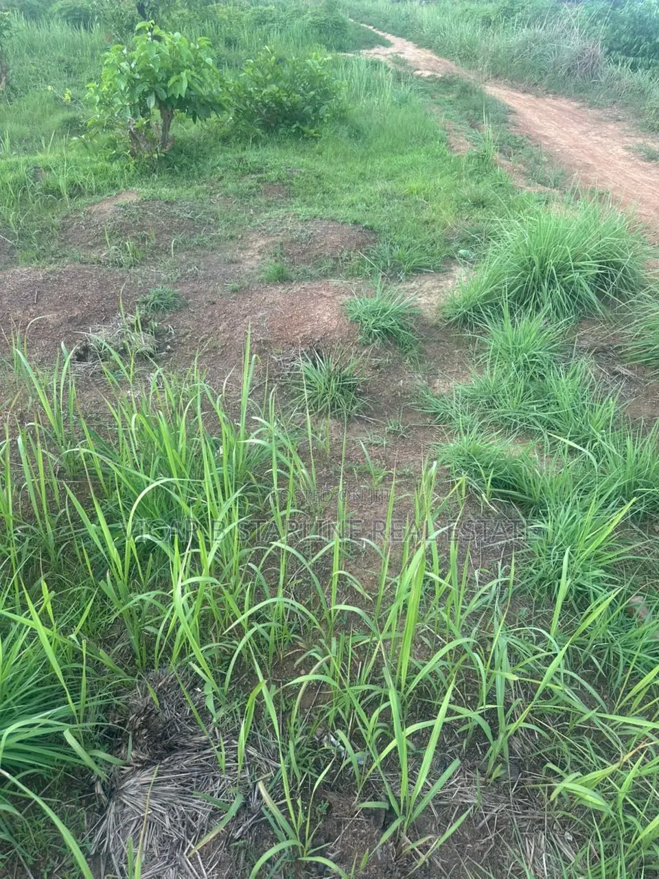 One Plot of Land Fat Ishieke for Sale