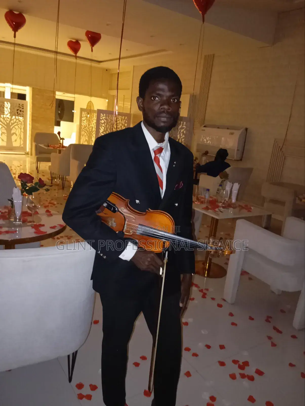 Violinist and Violin Tutor