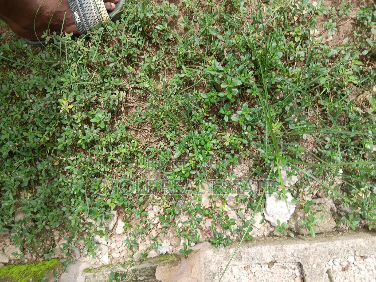 4bdrm Duplex in Maryland Lagos State for sale