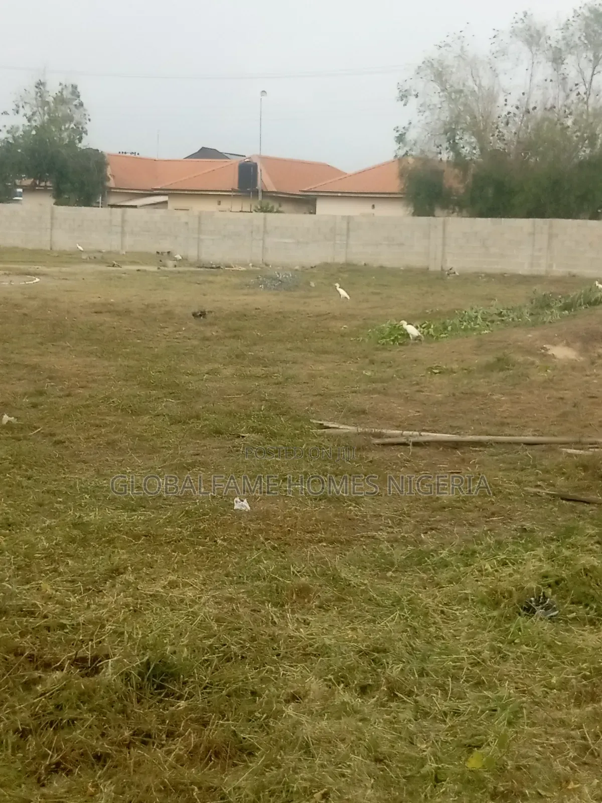 Land for Sale