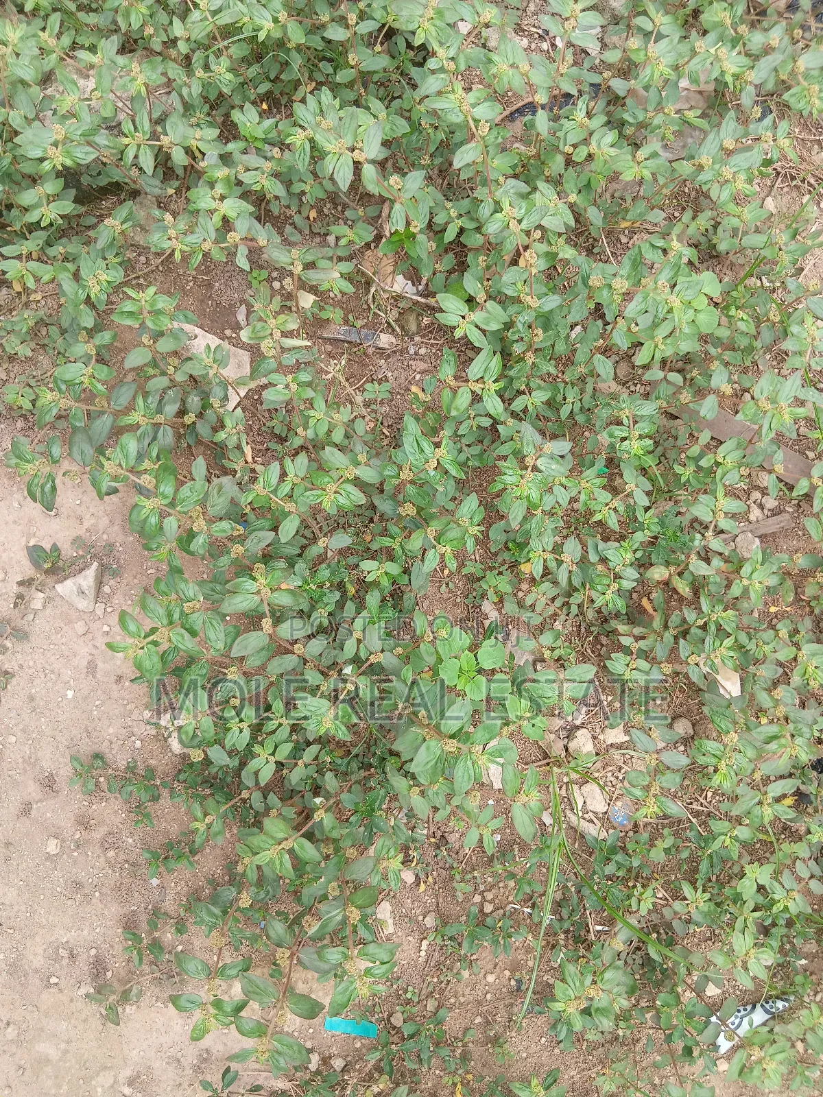 600sqm Full Plot Facinng Awoyaya Rd Ajah Left