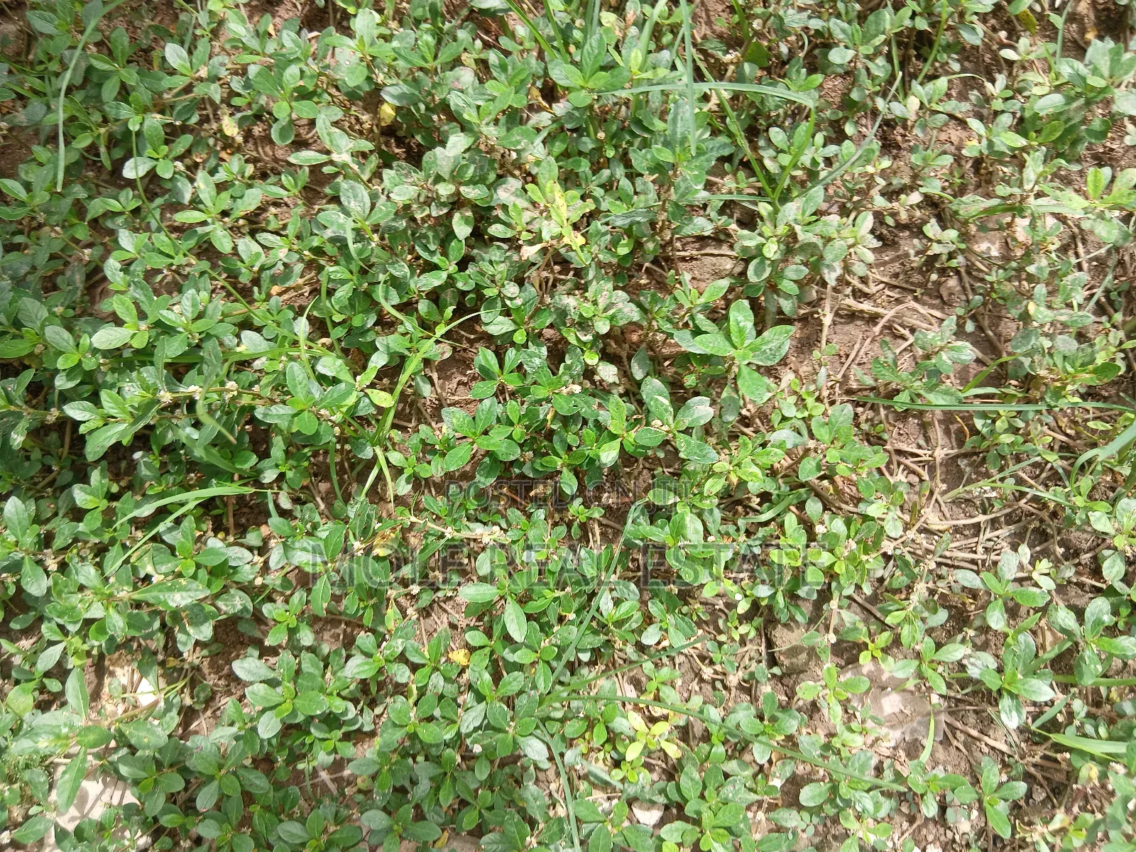 600sqm Full Plot Facinng Awoyaya Rd Ajah Left