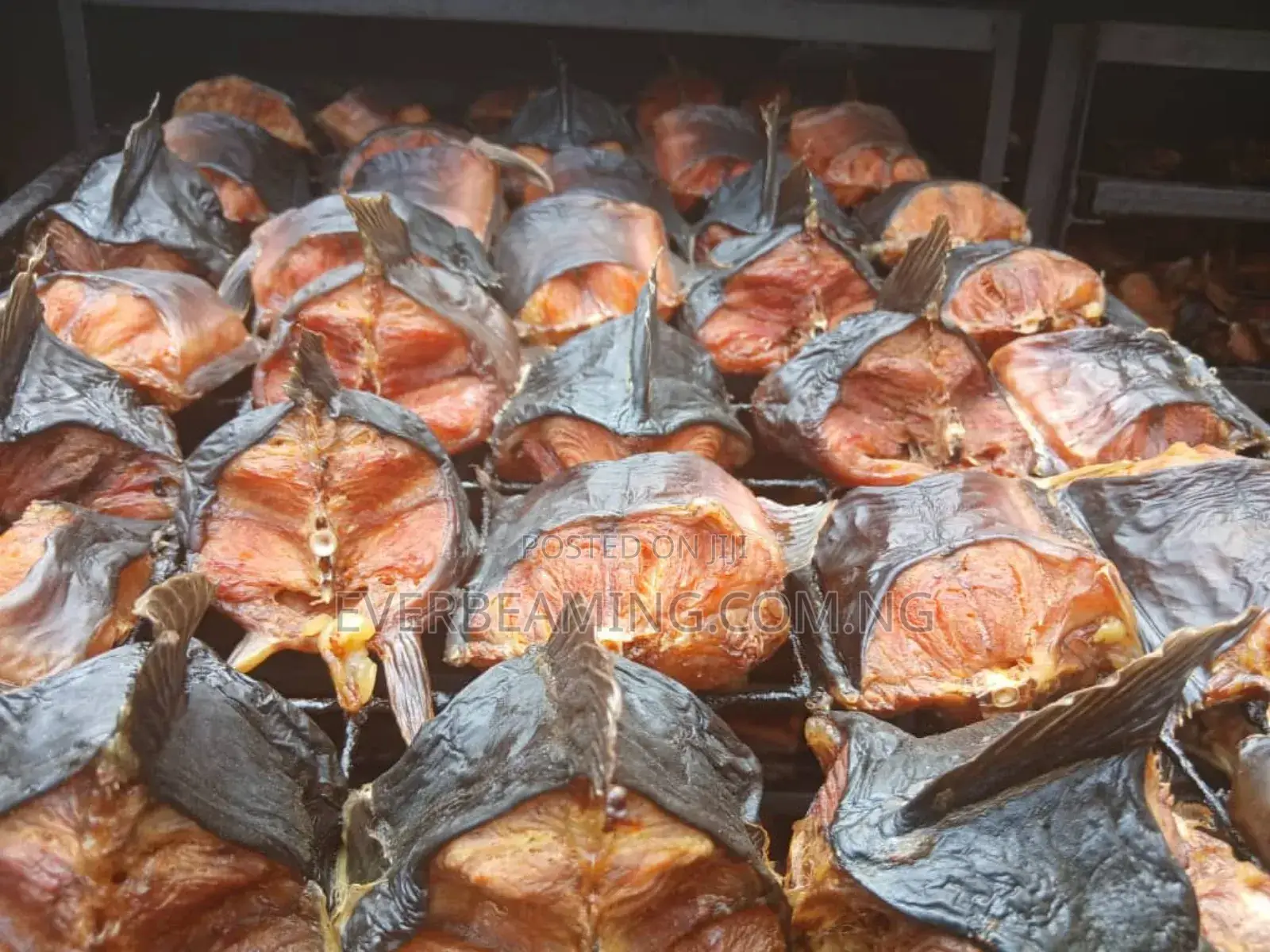 Catfish Cutlets _ 1kg Oven Dried Catfish _ 100% Natural