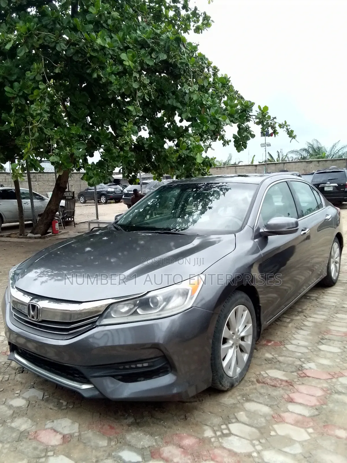 Honda Accord EX-L V-6 4dr Sedan FWD (3.5L 6cyl 6A) 2013 Gray