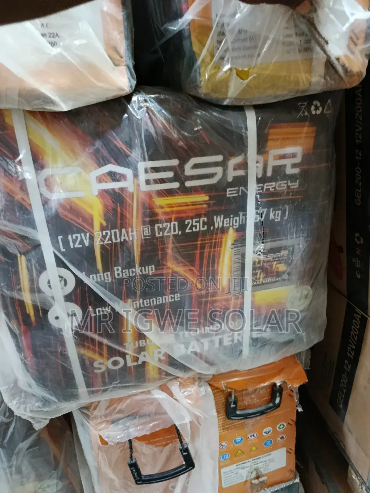 Ceasare Tall Tubular Battery 220 12v