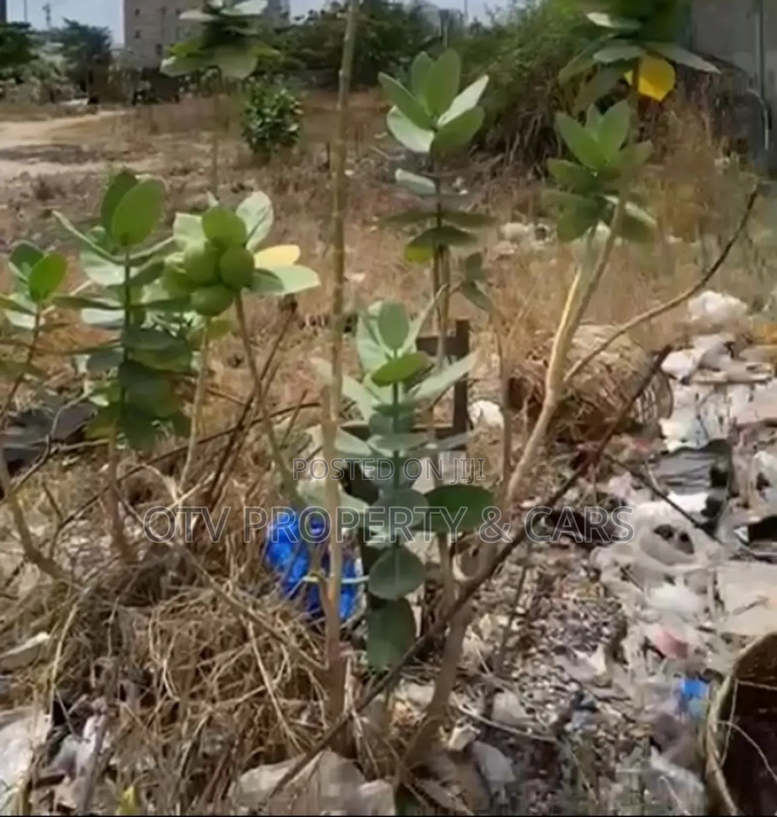 Distress Sale
1600sqm Land at Ikeja for Sale ₦1.5b Residential