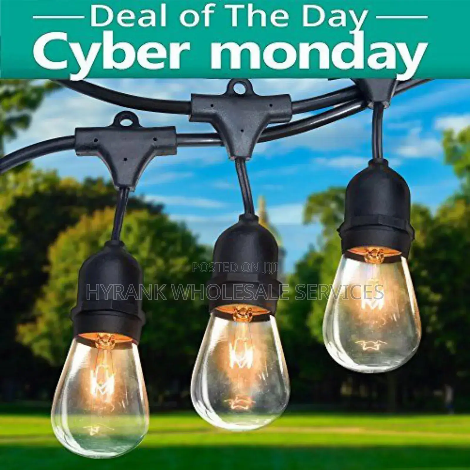 Event Rope Lamp Holder Wire and Bulbs
