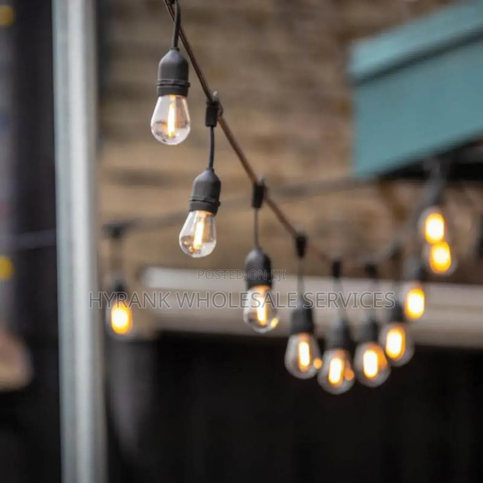 Decoration Light, Rope Wire and Bulbs